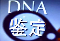 盐城个人DNA亲子鉴定大概多少钱，盐城匿名DNA亲子鉴定多久拿到报告