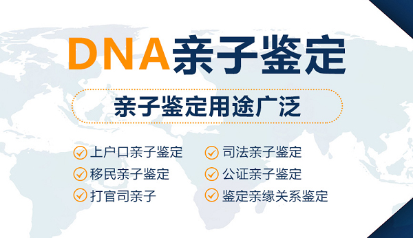 盐城个人DNA亲子鉴定大概多少钱,盐城匿名DNA亲子鉴定多久拿到报告