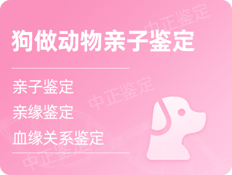 盐城狗做动物亲子鉴定