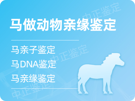盐城马做动物亲缘鉴定
