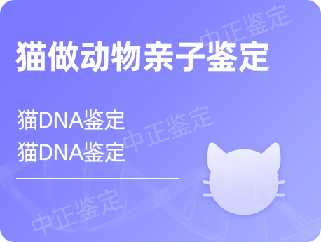 盐城猫做动物亲子鉴定