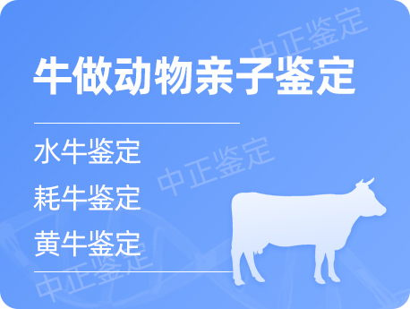 盐城牛做动物亲子鉴定