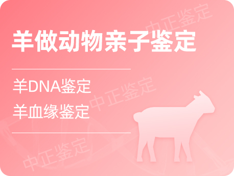 盐城羊做动物亲缘鉴定