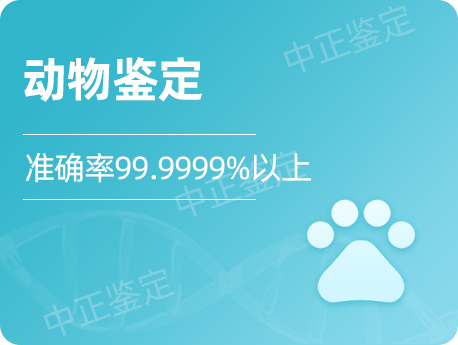 盐城动物鉴定